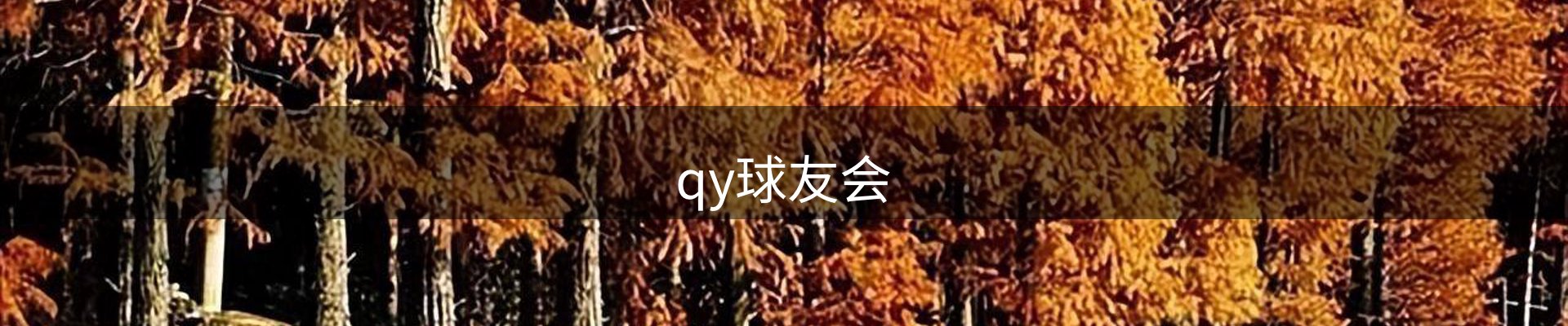 qy球友会